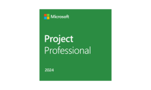 ProjectProfessional2024ESD.png