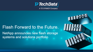 NetAppFlashStorageSystemandSolutionsPortfolio.png