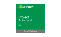 ProjectProfessional.png